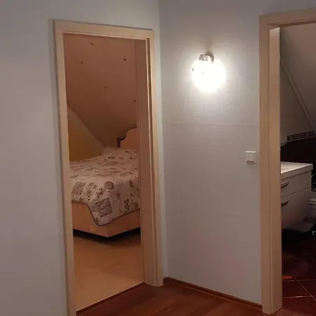 Geraeumige 2-zimmerwohnung In Ruhiger Lage Appartement